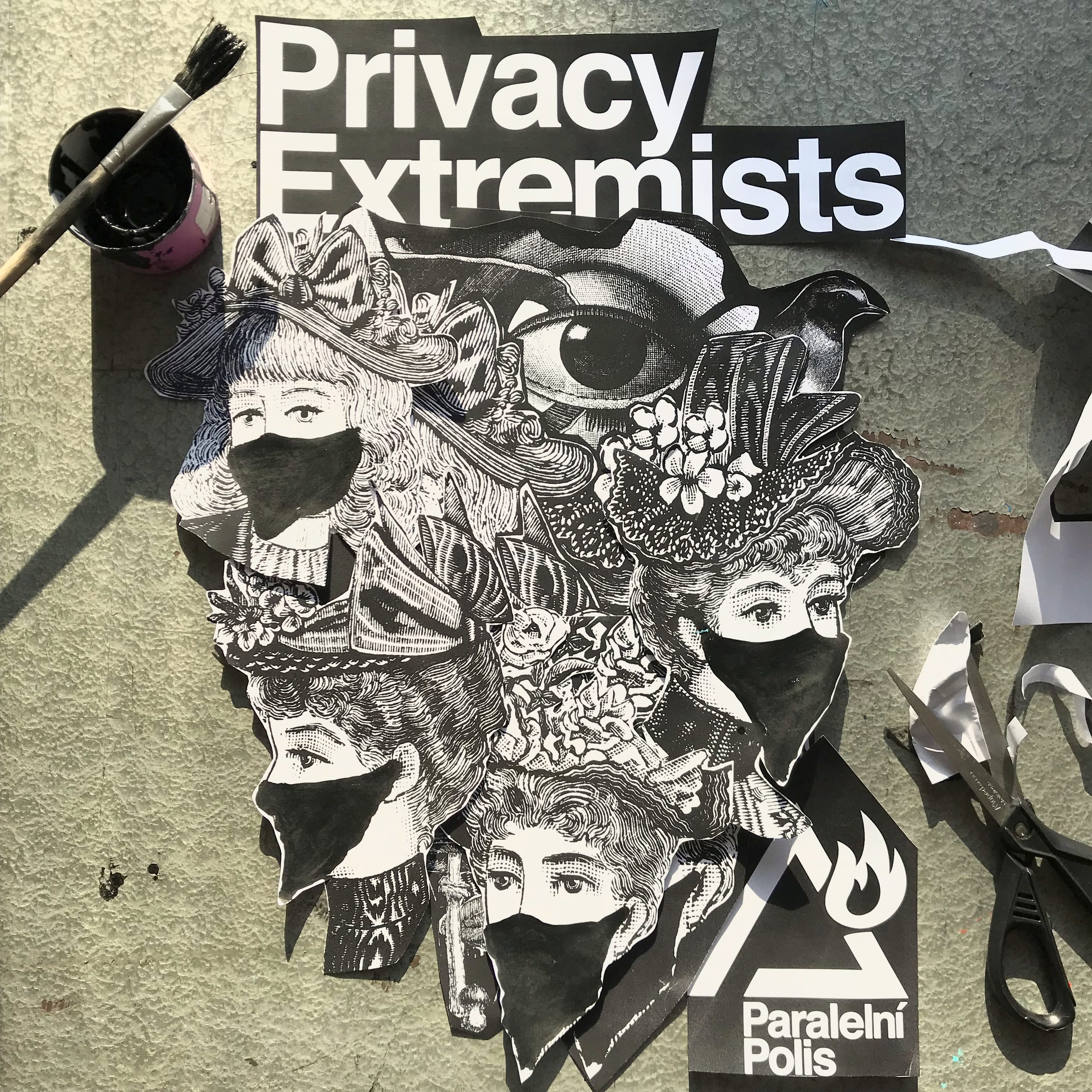 Privacy Extremists collage, 2018