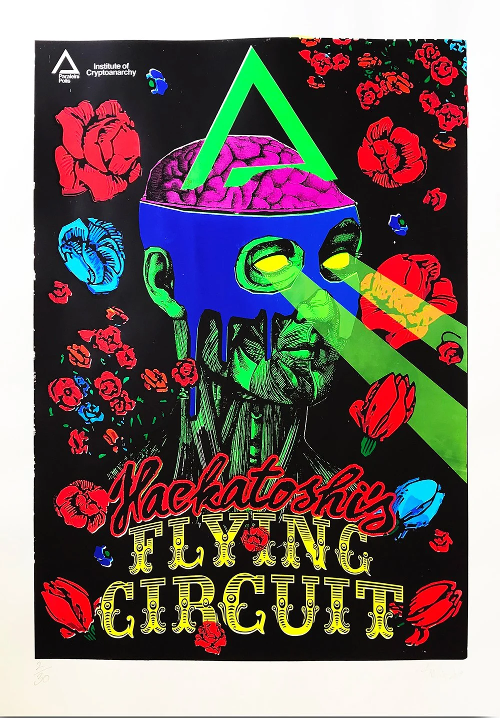 Hackatoshi's Flying Circuit