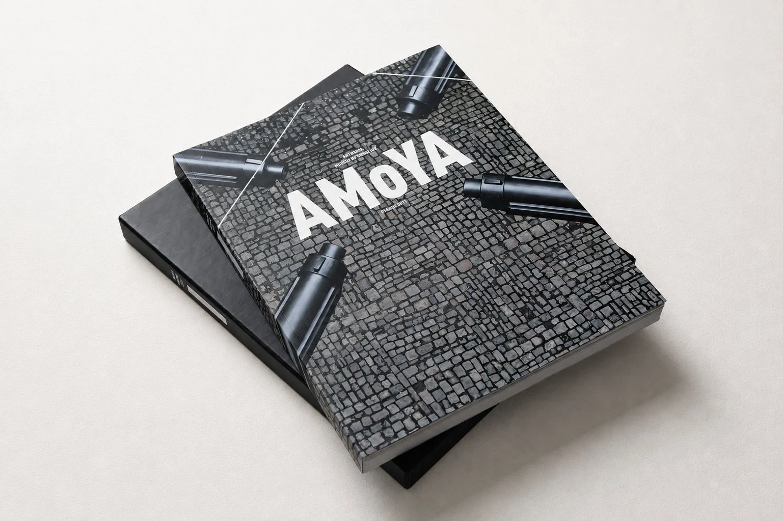 Katalog AMoYA