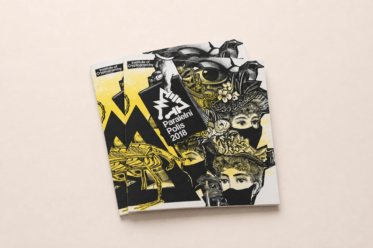 Paralelní Polis — výroční zpráva 2018