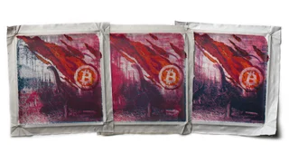 Bitcoin Meteorite Triptych — Fotografie díla