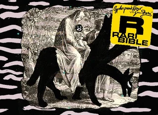 Raribible — Fotografie díla