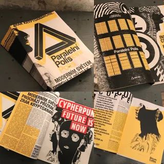 Paralelní Polis — výroční zpráva 2017 9