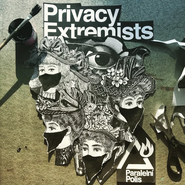 Privacy Extremists — Original Collage