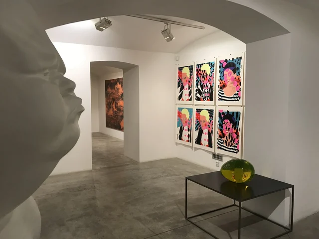 Výstava v DSC Gallery